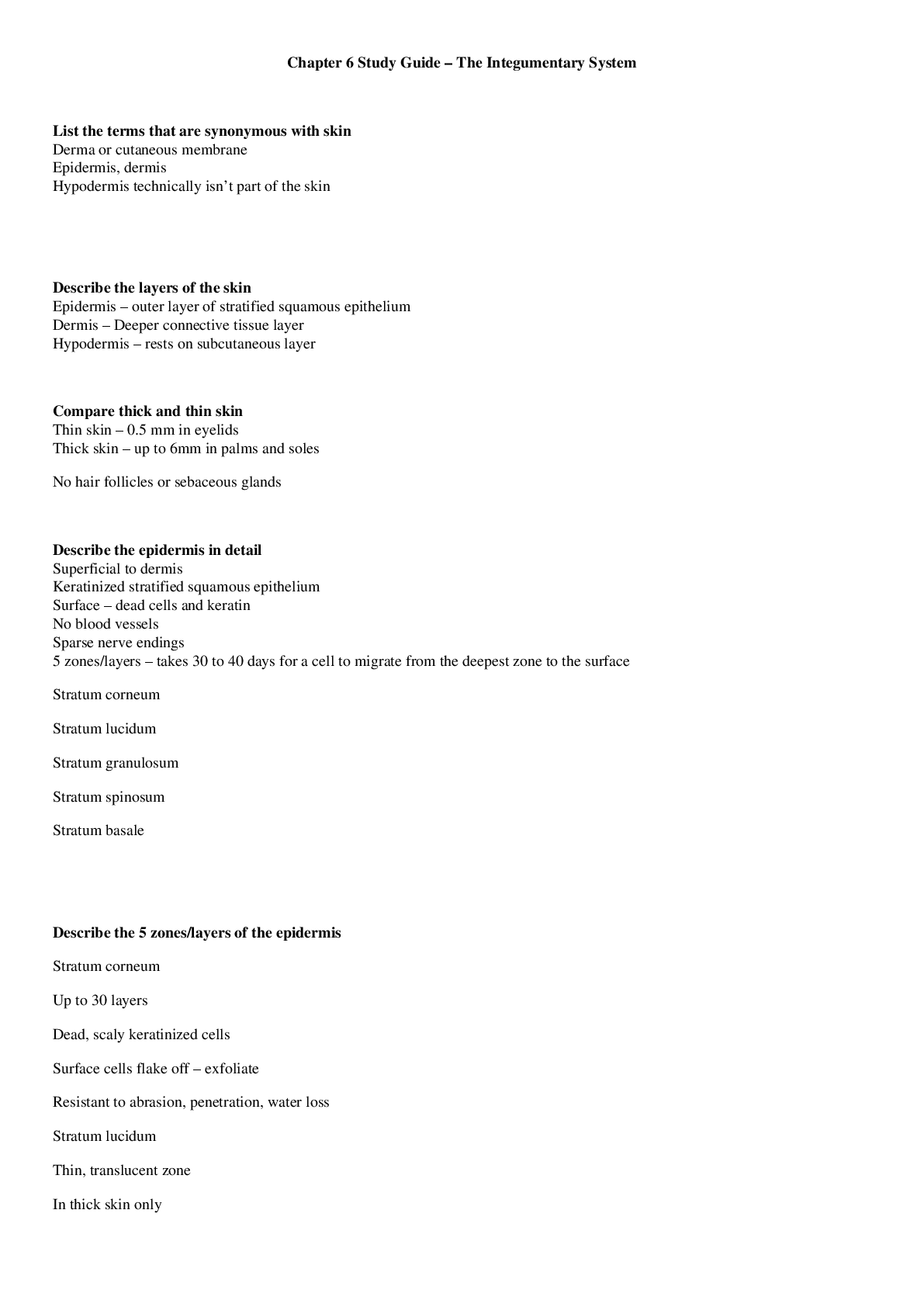 document-preview